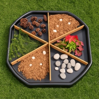 Tabuleiro octogonal com divisórias de madeira contendo pinhas, terra, pedras e plantas, sobre relva.