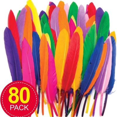 Penas coloridas em conjunto com etiqueta 80 PACK
