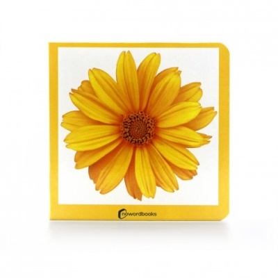 Livro infantil capa dura com flor amarela na capa