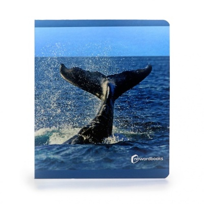 Capa de livro com baleia e logótipo nowordbooks