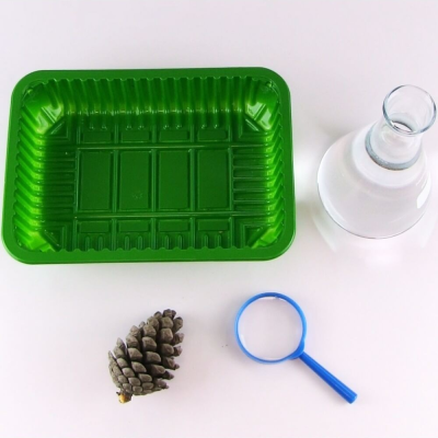 Bandeja verde de plástico, frasco de vidro com líquido branco, pinha castanha e lupa azul sobre superfície branca