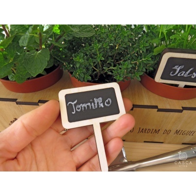 Etiqueta de madeira branca com texto Tomilho para identificação de plantas em vaso.
