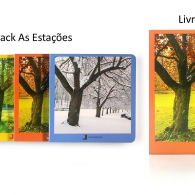 Pack de quatro livros coloridos sobre as estações do ano e livro destacado com capa de outono