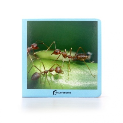 Livro infantil com imagem de formigas sobre uma folha verde na capa azul claro