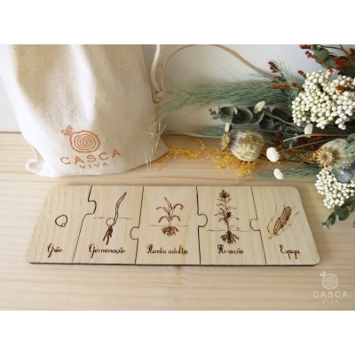 Jogo de 5 peças de madeira com gravuras de plantas e texto, saco de tecido com logotipo Casca Cava e arranjo floral seco ao fundo.