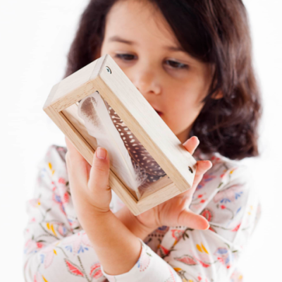 Criança a segurar caixa de madeira com penas dentro