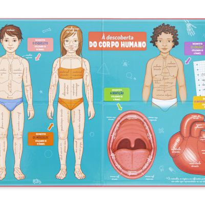 Ilustração educativa com corpos humano masculino e feminino, boca e coração com termos anatômicos em português