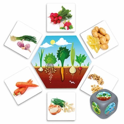 Ilustração educativa de legumes e plantas crescendo no solo em imagens hexagonais