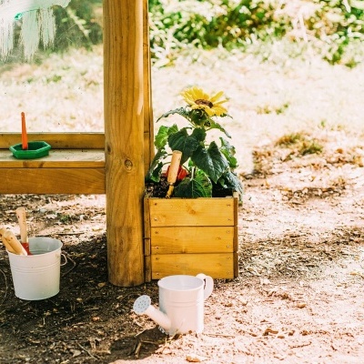 Utensílios de jardinagem com planta em caixote de madeira, regador e balde em solo terroso
