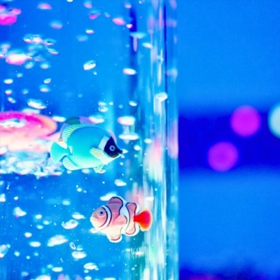 Aquário com dois peixes artificiais coloridos e bolhas em fundo azul