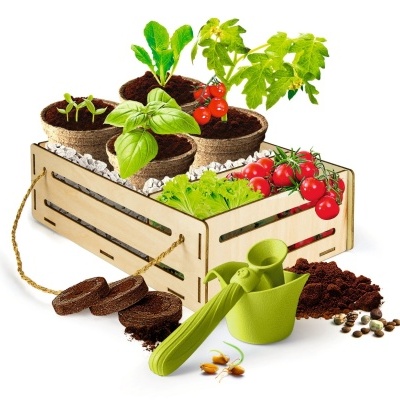 Conjunto de plantação em caixa de madeira com plantas e acessórios de jardinagem