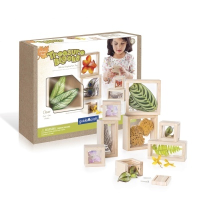 Conjunto de blocos transparentes emoldurados em madeira com elementos naturais para exploração científica