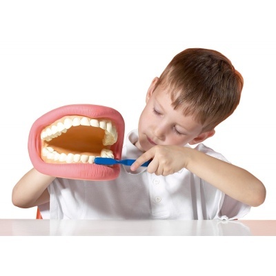 Criança a escovar uma boca modelada grande de plástico com dentes