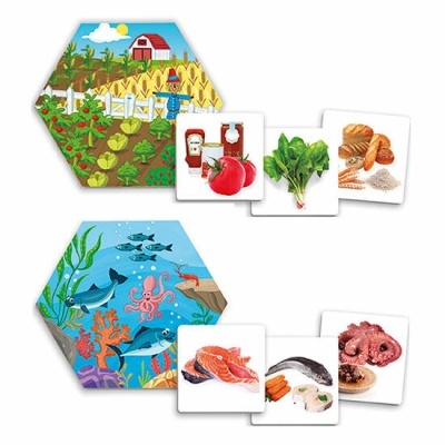 Ilustrações coloridas de quinta e fundo do mar com cartas de alimentos