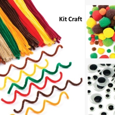 Kit artesanal com fios chenille coloridos, pompons e olhos móveis.