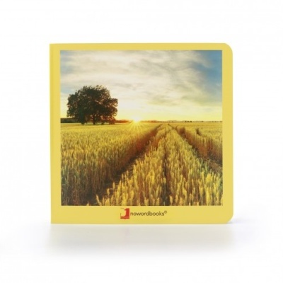 Capa de livro amarelo com foto de campo de trigo ao pôr do sol e logo 'nowordbooks'.