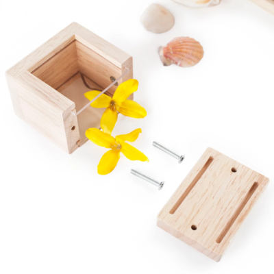 Caixa de madeira clara desmontada com parafusos e flor amarela, sobre fundo branco com conchas