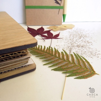 Caderno de capa de madeira clara com folhas secas, lápis verde e bloco de papel kraft