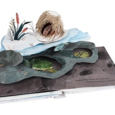 Livro pop-up mostrando um habitat aquático com plantas, uma tartaruga e um peixe.