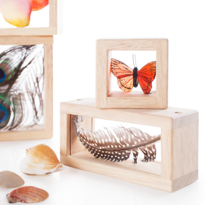 Caixas de madeira com borboleta e penas decorativas junto a conchas