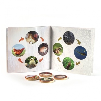 Livro aberto com imagens circulares de animais e fichas redondas com imagens de animais