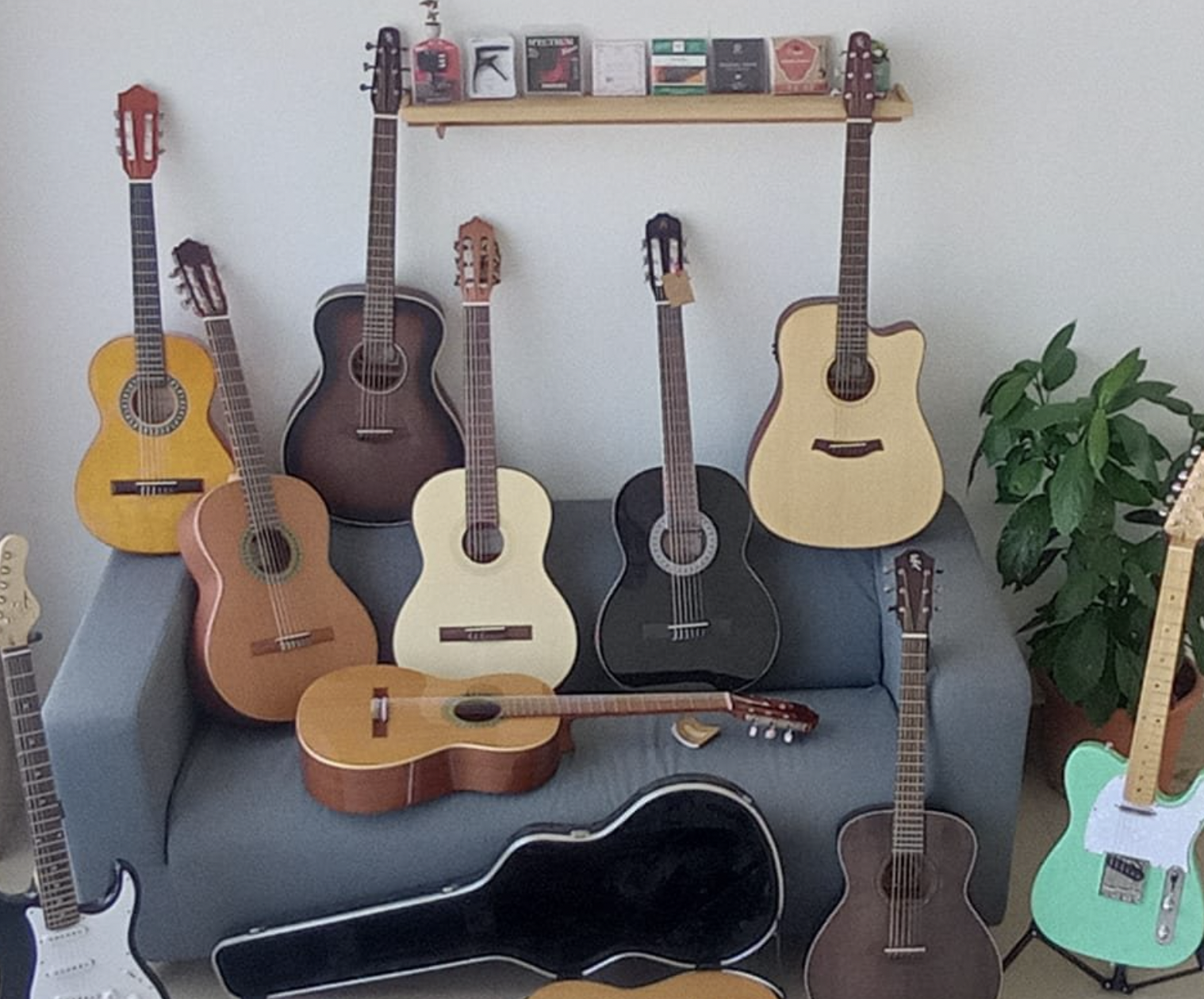 Diversos violões acústicos de madeira e preto em sofá e chão com violão elétrico verde e planta ao lado