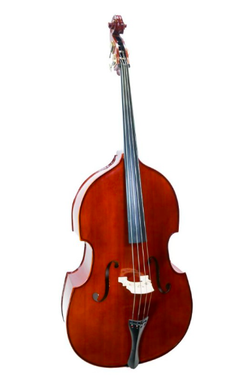 Contrabaixo Stentor Student - Atelier do Tejo Contrabaixo acústico em madeira castanha com fundo branco