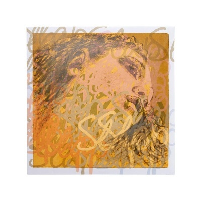 Quadro com retrato artístico em tons castanhos, laranja e grafismos abstratos coloridos