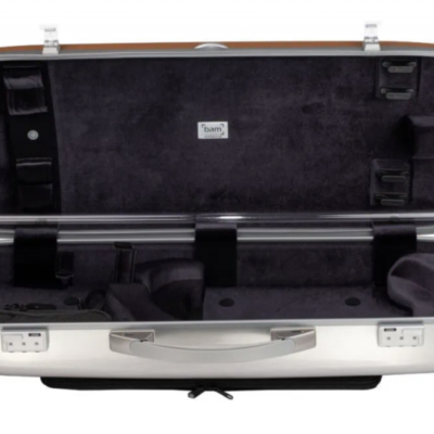 Estojo de violino prateado com interior preto aberto