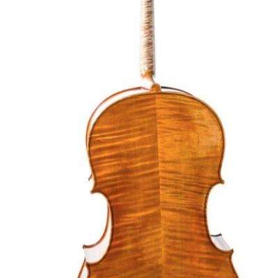 Violoncelo de madeira castanha visto de costas em fundo branco