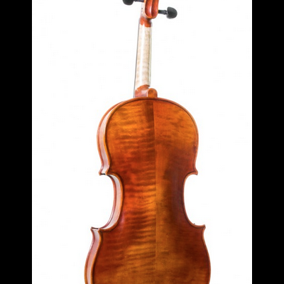 Violino de madeira castanha visto de costas com fundo branco