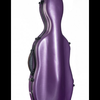 Estojo rígido roxo para instrumento musical