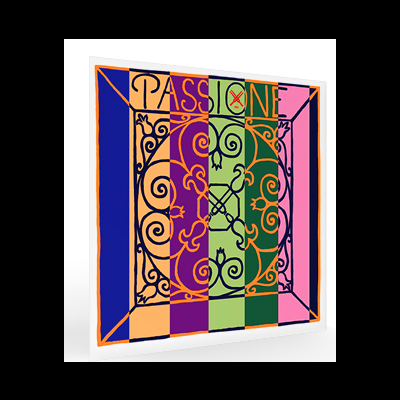 Quadro decorativo quadrado com padrão ornamental colorido e a palavra PASSIONE