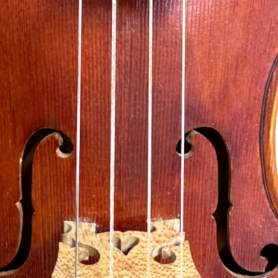 Violino em madeira castanho-avermelhado com cordas e cavalete claro