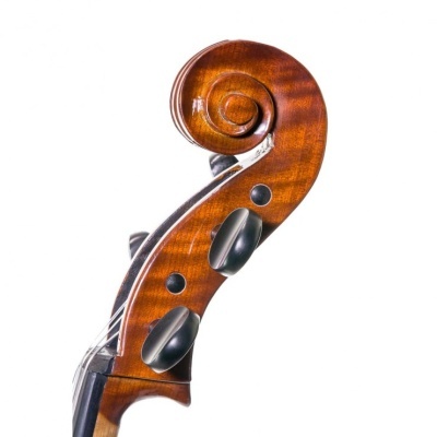 Parte superior de um violino em madeira castanha com cravelhas pretas e cordas, fundo branco