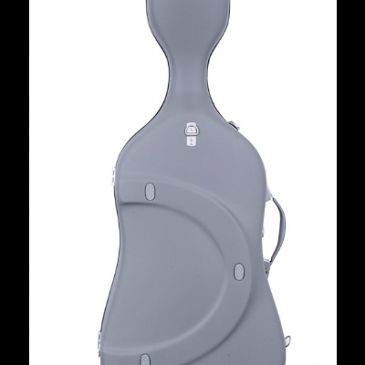 Estojo rígido cinzento para instrumento musical