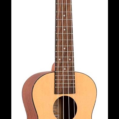 Ukulele de madeira clara com decoração floral e cravelhas pretas