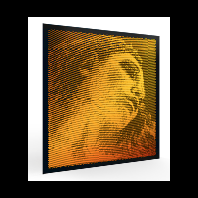 quadro decorativo com rosto feminino em laranja e preto com moldura preta