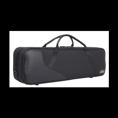 Estojo rígido preto para instrumento musical com alça e fecho