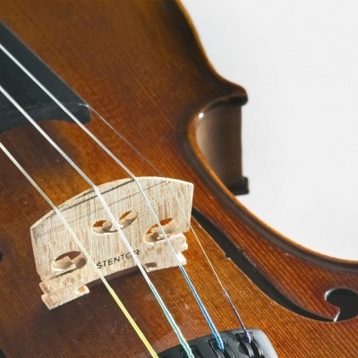 Parte de um violino de madeira castanha com cordas e ponte marcada STENTOR