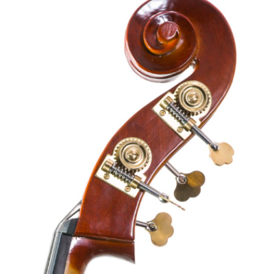 Cabeça de contrabaixo em madeira castanha com cravelhas douradas