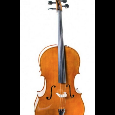 Violino de madeira castanha em fundo branco