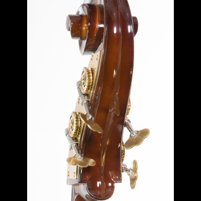 Cabeçote de contrabaixo acústico castanho com maquinaria dourada