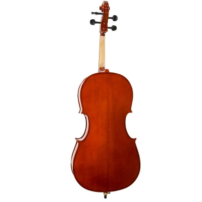 Violoncelo castanho visto de costas com cravelhas pretas