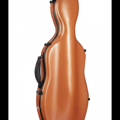 Estojo rígido castanho para instrumento musical em fundo branco.