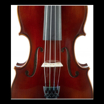 Médio corpo de violino em madeira castanho vermelho com quatro cordas sobre fundo branco