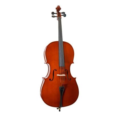 Violoncelo castanho brilhante com cordas pretas sobre fundo branco