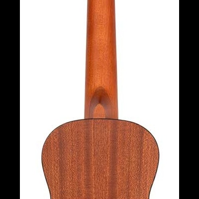 Parte de trás de um ukulele em madeira natural com clavijas pretas