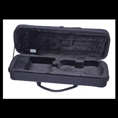 Estojo aberto preto para instrumento musical com interior acolchoado