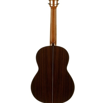 Parte traseira de violão clássico de madeira castanho escuro com fundo branco